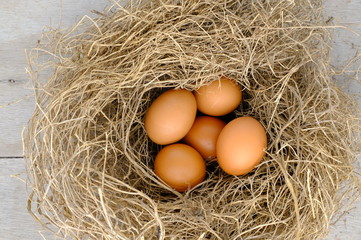 nest with raw chicken eggs on wooden background
