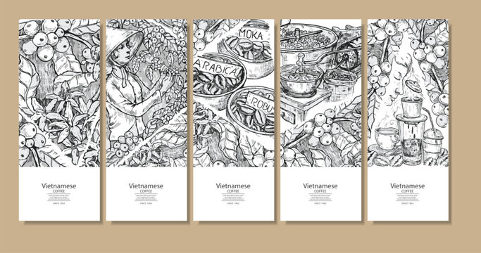 Hand drawn 5 steps of Vietnamse coffee process in brown colors, young coffee sprout to hot coffee drink, sketch style on white background. Sketch drawing art for coffee packaging label.Use by Pen ink.