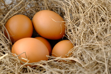 nest with raw chicken eggs on wooden background
