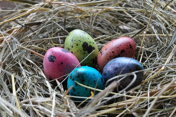 easter eggs in the nest