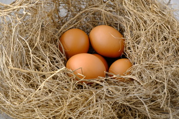 nest with raw chicken eggs on wooden background
