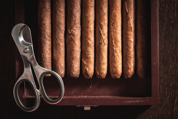 Cuban cigars with metal scissors on humidor