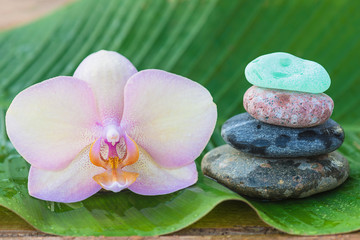Fototapeta na wymiar Pink orchid flower and stones pyramid on wet banana leaf. Close up