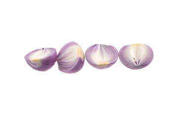 four of onion isolated on white background 