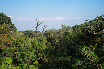 Fototapeta na wymiar Natural landscape of green mountain range with cloudy blue sky