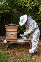 Apiculture - apiculteur tenant des abeilles mortes devant une ruche