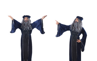 Wizard isolated on the wise background