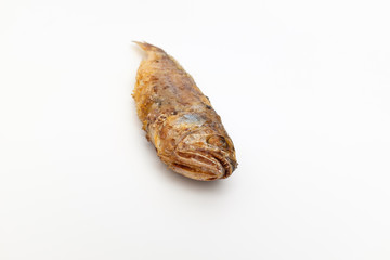 Grilled yellow corvina on white background