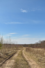 Fototapeta na wymiar dirt road in a field under a blue sky