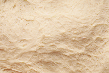 Texture of fresh dough, closeup