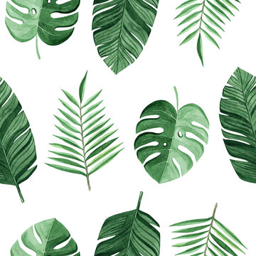 watercolor green tropical palm and monstera leaves seamless pattern on white background for fabric,textile,branding,invitations,scrapbooking,wrapping