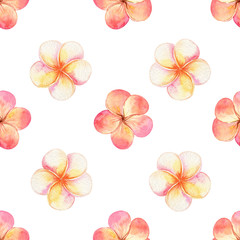Obraz premium watercolor orange plumeria seamless pattern on white background. Tropical print