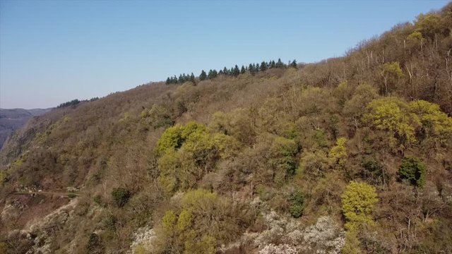 Moseltal bei Valwig, Weinberge, Beobachtungsgebiet Apolloweg