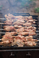 Grilled kebab on the grill, outdoors
