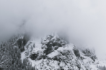 fog in the mountains