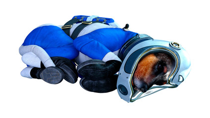 3D Rendering Astronaut Dog on White © photosvac