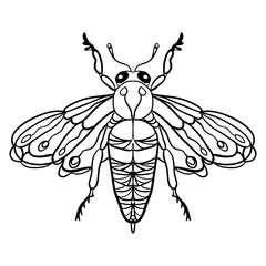 Detailed ornamental sketch of a moth,Hand drawn zentangle for adult anti stress.