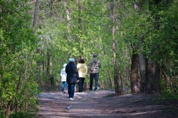 Fototapeta na wymiar family walking in the woods