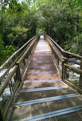 Beautiful path made by wood in Iguazu falls, Argentina