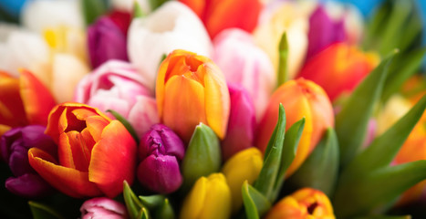 Colorful bouquet of beautiful tulips. Spring flowers. Full frame background. Greeting card with copy space for your advertising text message for Valentine's Day, Woman's Day and Mother's Day