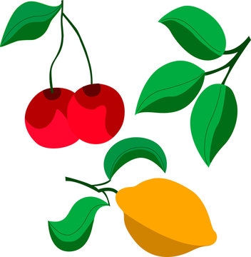 Vector set of lemon, cherries and leaves on a white background, in a flat style