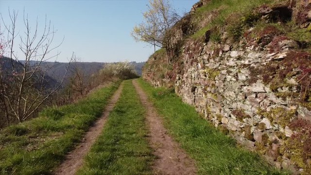 Moseltal bei Valwig, Beobachtungsgebiet Apolloweg