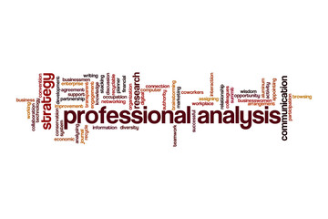 Fototapeta premium Professional analysis word cloud concept
