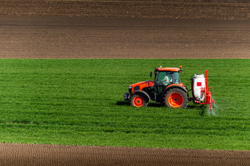 Obraz premium Tractor spraying wheat in field