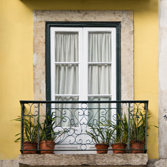 Fototapeta na wymiar Window in Lisbon Portugal