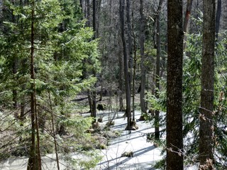 KODAK Digital Still Camera © Dawid