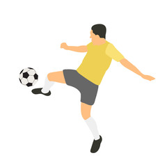 Fototapeta na wymiar vector, on a white background, in a flat style soccer player