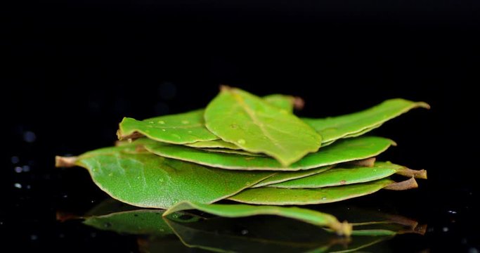 A pile of Bay leaves rotates slowly.
