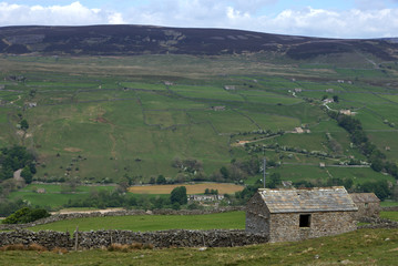 barn with stone wall in the yorkshire dales