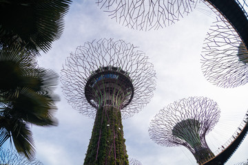 Singapore - February, 2020: Day view of The Supertree Grove, Cloud Forest Flower Dome at Gardens by the Bay in Singapore. Spanning 101 hectares, and five-minute walk from Bayfront MRT Station.