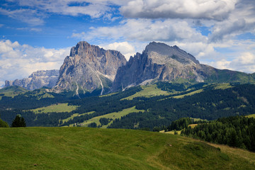 Fototapeta na wymiar Sassolungo e Sassopiatto dall'Alpe di Siusi
