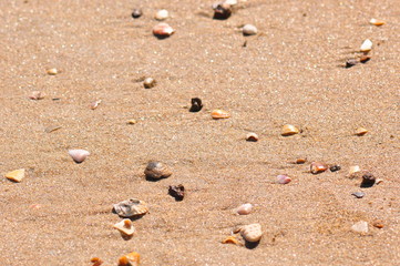 sand beach texture