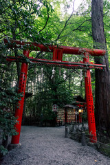 Fototapeta na wymiar Japanese torii gate