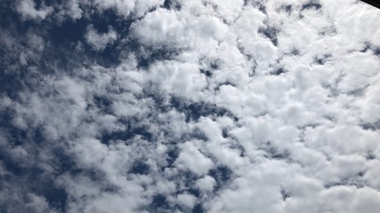 Time lapse, Motion movement with white fluffy, Cirrocumulus cloudscape, scenic sunlight, climate on clear blue sky. © praditkhorn
