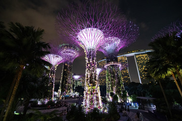 SINGAPORE - February, 2020 : A night view of the Supertrees Grove, Cloud Forest Flower Dome at Gardens by the Bay