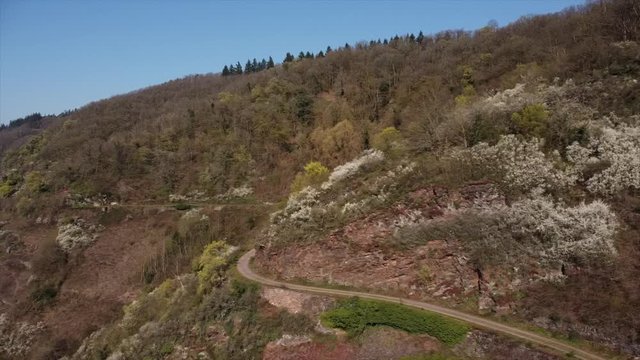 Moseltal bei Valwig,  Apolloweg im Fr&uuml;hling, Weinbau und Brachen