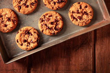 Chocolate chip cookies in a baking tray, shot from above on a dark rustic wooden background with copy space