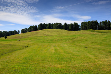 pascoli all'Alpe di Siusi