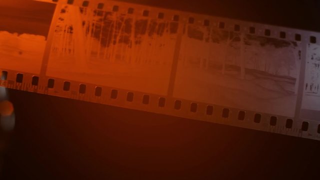 Film photo n&eacute;gatif argentique avec image