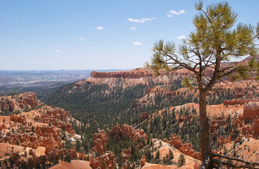 Obraz premium Bryce Canyon III