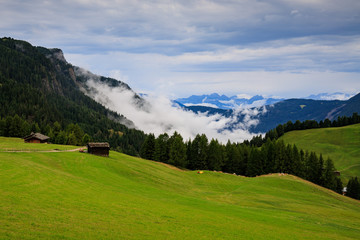 pascoli all'Alpe di Siusi