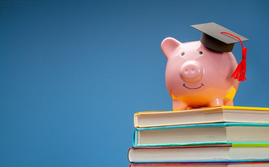 Piggy bank in graduate hat on stack of books. Blue background. Copy space for text