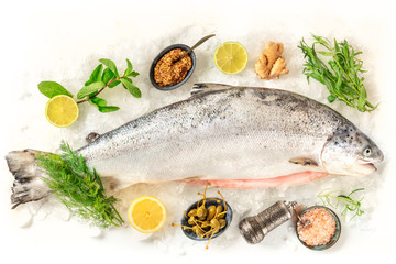Fresh salmon, shot from the top on a white background with various condiments