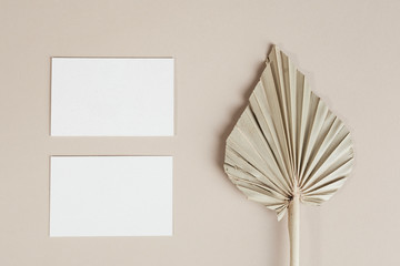 Blank business cards with dried palm leaf