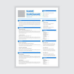 Minimalist Professional Resume Template Design 