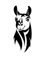 llama or alpaca head looking straight forward black and white vector outline portrait © Cattallina